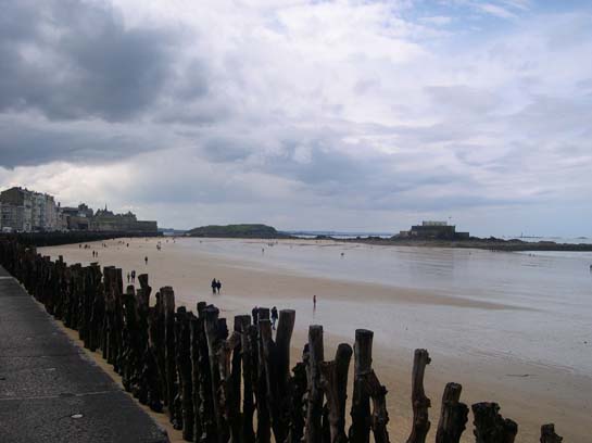  plage avec pieux en bois pour briser les lames